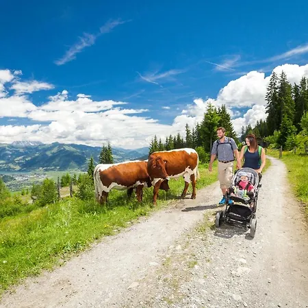 Aparthotel Auhof Wirtshaus&suiten 4*
