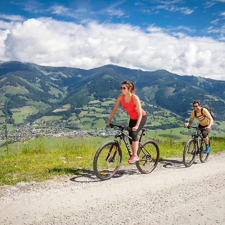 Apart Otel Auhof Wirtshaus &