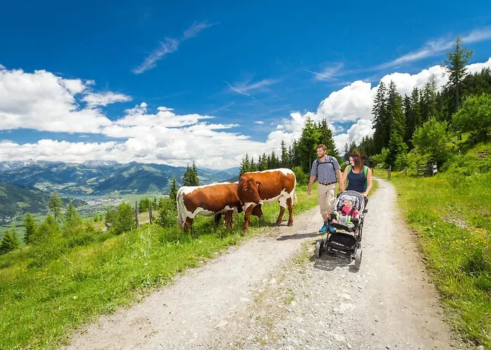 Hotel apartamentowy Auhof Wirtshaus & 4*